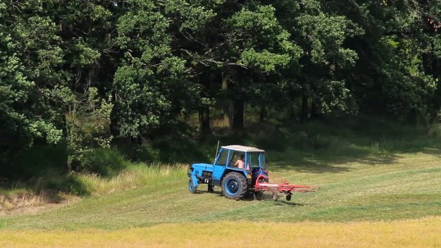 Blue tractor turn near forest, machine to turn dry grass, hay