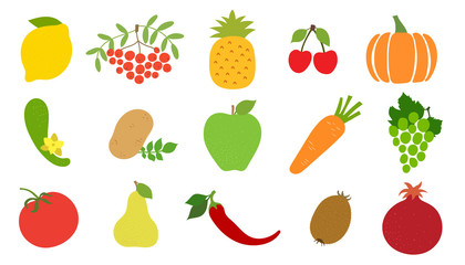 Lemon, rowan, mountain ash, apple, pineapple, pomegranate, cherry, grape, kiwi, pear, potato, cucumber, tomato, pepper, carrot, pumpkin. Vector vegetable, fruit, berry sketch. Healthy food collection