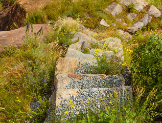 a stone ladder surrounded by vegetation and wild flowers and covered by pebbles   in the mountains