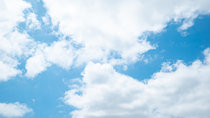 Fototapeta premium 青空・雲