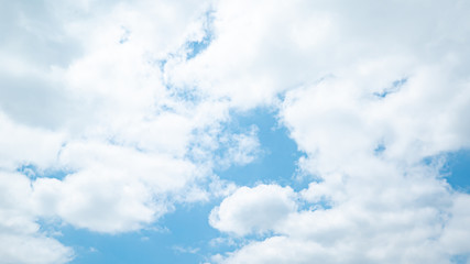 Fototapeta premium 青空・雲