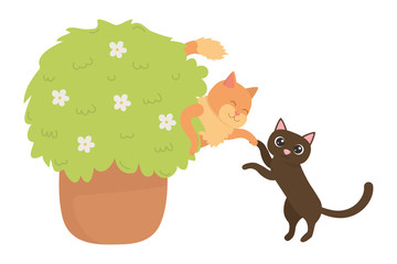Cats cartoons design vector illustrator