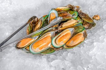 Green mussel - Fresh shell-off mussel on ice.