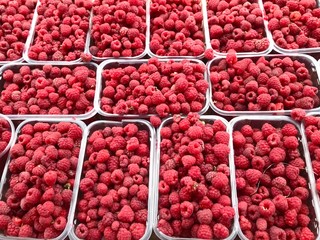 cranberries in a box