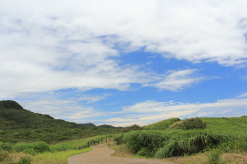 Obraz premium 南伊豆 ユウスゲ公園