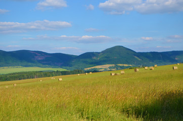 Naklejka premium Rehorngebirge