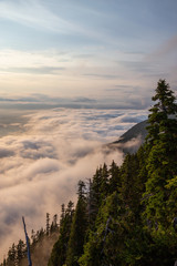 Beautiful View of Canadian Mountain Landscape covered in clouds during a vibrant summer sunset. Taken on top of St Mark's Summit, West Vancouver, British Columbia, Canada.