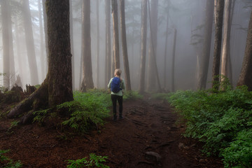 Naklejka na ściany i meble Adventurous girl hiking on a trail in the woods during a foggy and rainy day. Taken in Cypress Provincial Park, Vancouver, British Columbia, Canada.