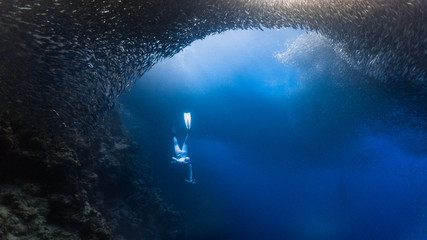 Freediving with a massive school of sardines in an underwater cliff