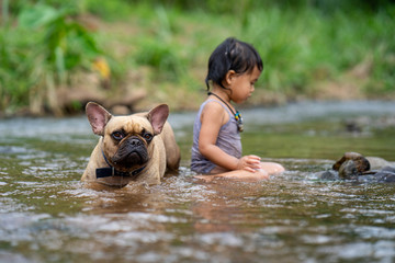 French bulldog is playing with little girl in the stream
