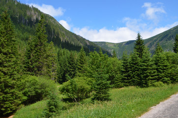 Obraz premium Riesengrund