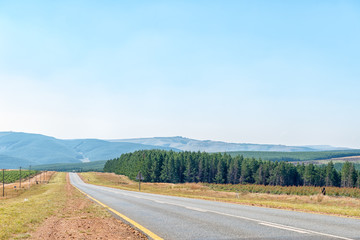 Road landscape next to road R38 between Carolina and Badplaas