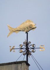 A golden metal vane with a fish on a roof of london