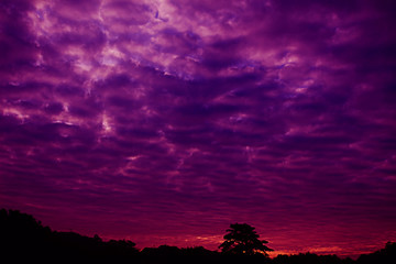 Obraz premium Background sky in the morning,Bright in Phuket Thailand