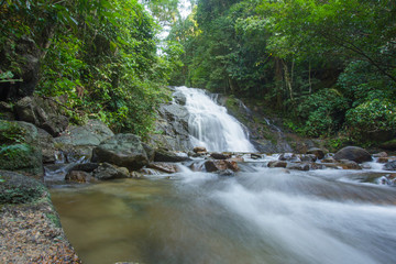 Ton Chong Fa,in the forest tropical zone ,national park Takua pa Phang Nga Thailand