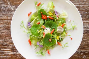 Fresh spring greens and edible flowers salad