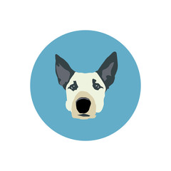 dog icon