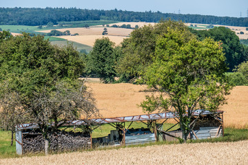 Brennholz Lager abgedeckt auf Wiese im Sommer © focus finder
