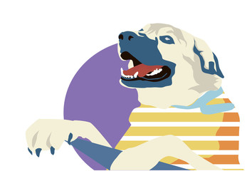 colorful poster with dog in frock