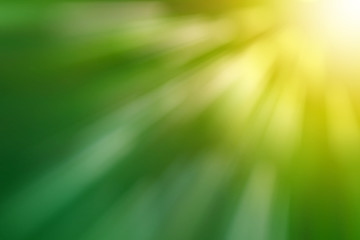 Abstract bokeh background from the tree in the garden