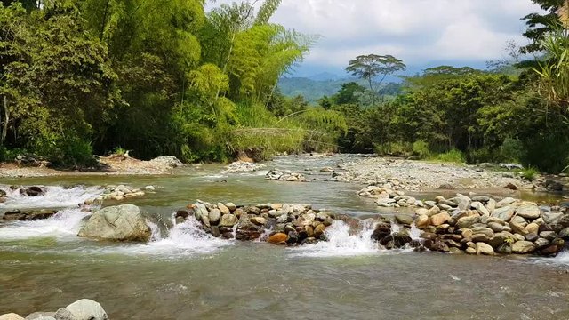 river in the forest
