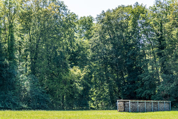 Brennholz Lager abgedeckt auf Wiese im Sommer © focus finder