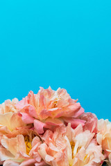 Top view on bouquet of peonies , flowers on blue background, flat lay, copy space