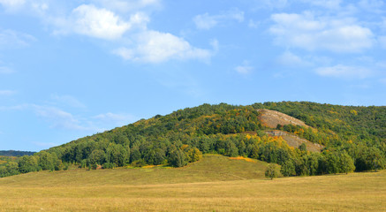 Fototapeta premium Summer landscape with mountain