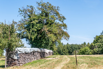 Brennholz Lager abgedeckt auf Wiese im Sommer © focus finder