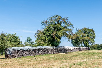Brennholz Lager abgedeckt auf Wiese im Sommer © focus finder