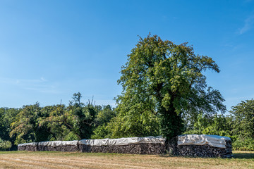 Brennholz Lager abgedeckt auf Wiese im Sommer © focus finder