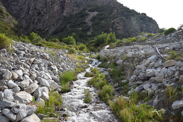 Fototapeta na wymiar Pequeño rio atravesando un valle de montañas
