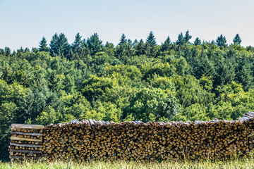 Brennholz Lager abgedeckt auf Wiese im Sommer © focus finder