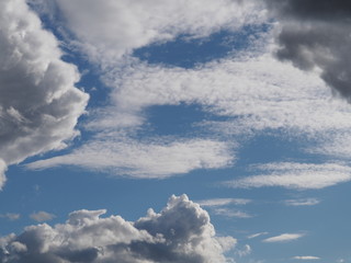 Obraz premium Funny figure out of the clouds and the swarm in the windy weather on the background of clear blue sky. A beautiful combination of dark swarm and white clouds.