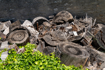 Big Pile of unused stumps