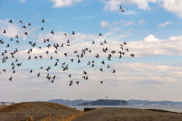 茅ヶ崎海岸からの江ノ島 / Enoshima