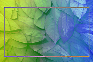 Colorful leaves are texture background creative layout made at phuket Thailand