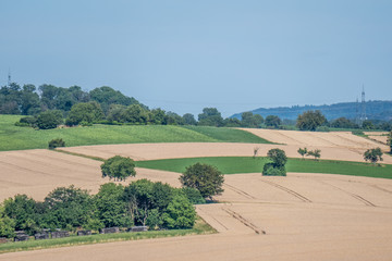Fototapeta premium Hügelige Agrar Landschaft im Sommer