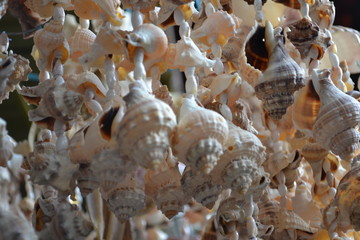 Caracola que se ven de en un mercado de Acapulco