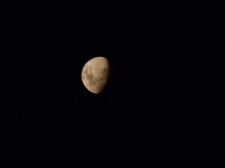 The moon