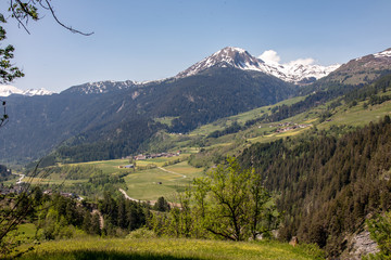 Obraz premium View of green meadows and pastures in front of high mountains in the swiss alps