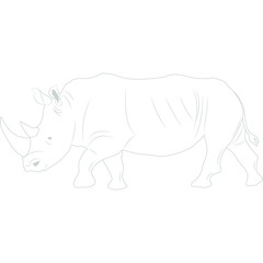 Nordafrikanisches Breitmaulnashorn