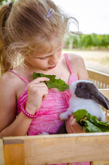 lovely child feeding a rabbit pet