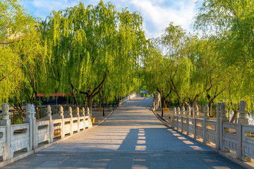 The view of Daning Tulip Park in Shanghai, China