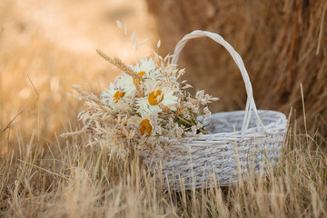 daisies in basket on the background of a haystack in the village