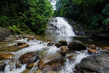 Ton Chong Fa,in the forest tropical zone ,national park Takua pa Phang Nga Thailand