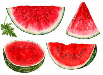 Watermelon, cut into pieces, on a white background. Watercolor.