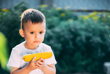 cute boy in the garden or Park outdoors eating boiled corn is very appetizing