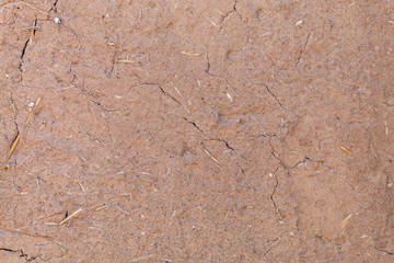 Old Weathered House of The Mud Wall