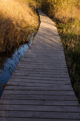 Fototapeta premium Mamut Route, touring the Padul Lagoon (Granada) Spain